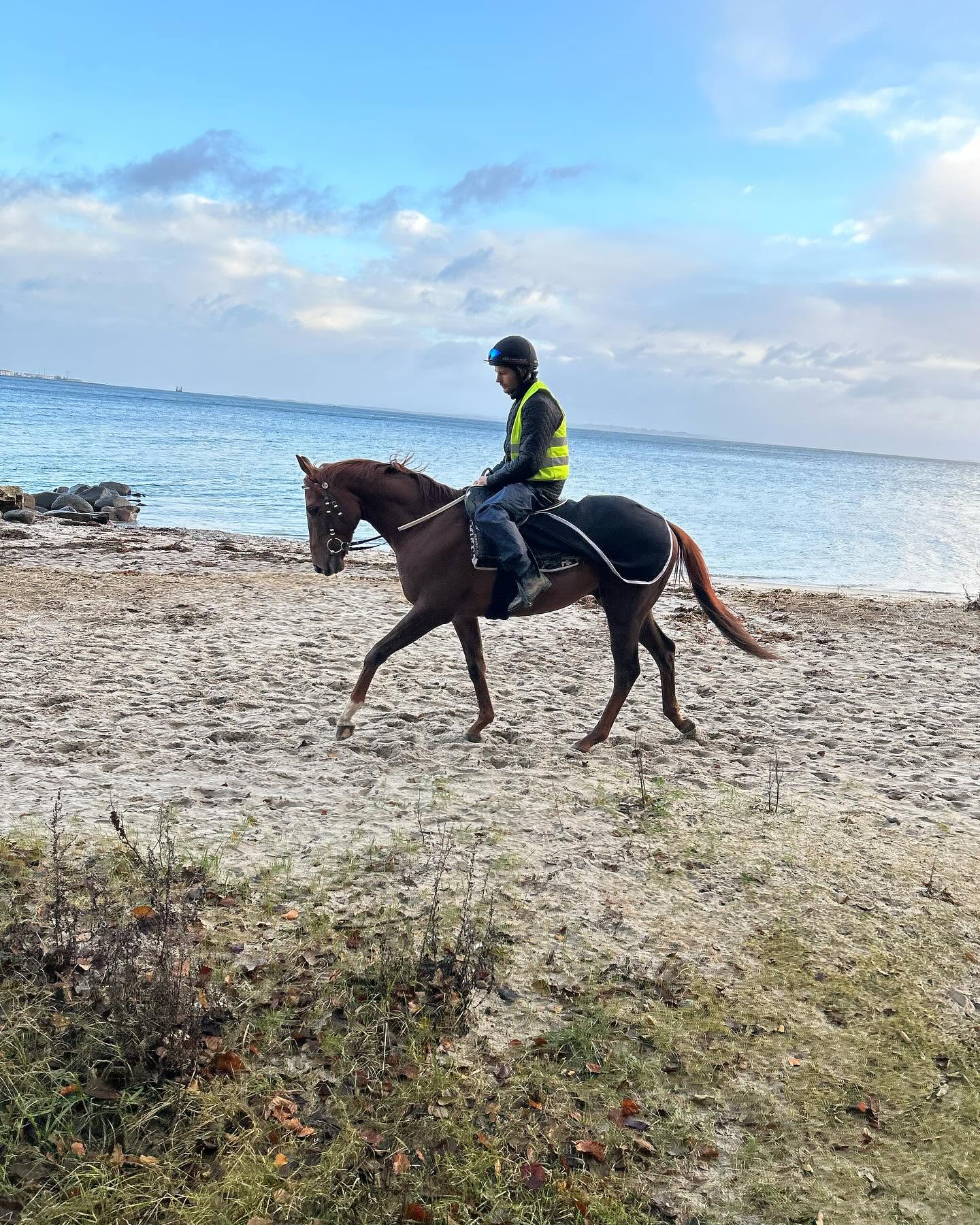 Rytter og hest ved stranden